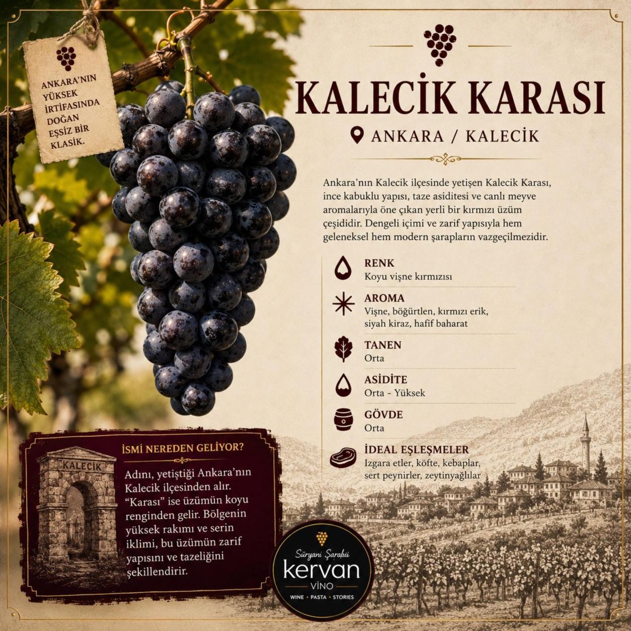 Kalecik Karası üzümü bilgi kartı: renk, aroma, tanen, asidite, gövde ve yemek eşleşmeleri